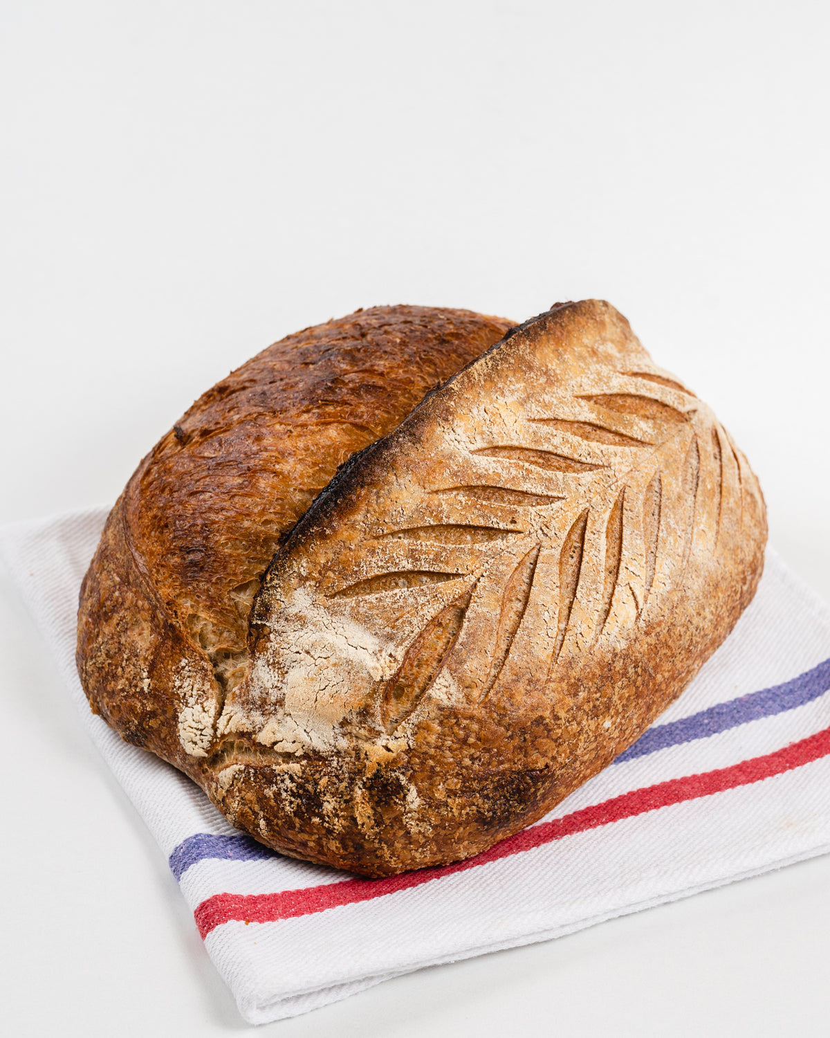 Pan de campo